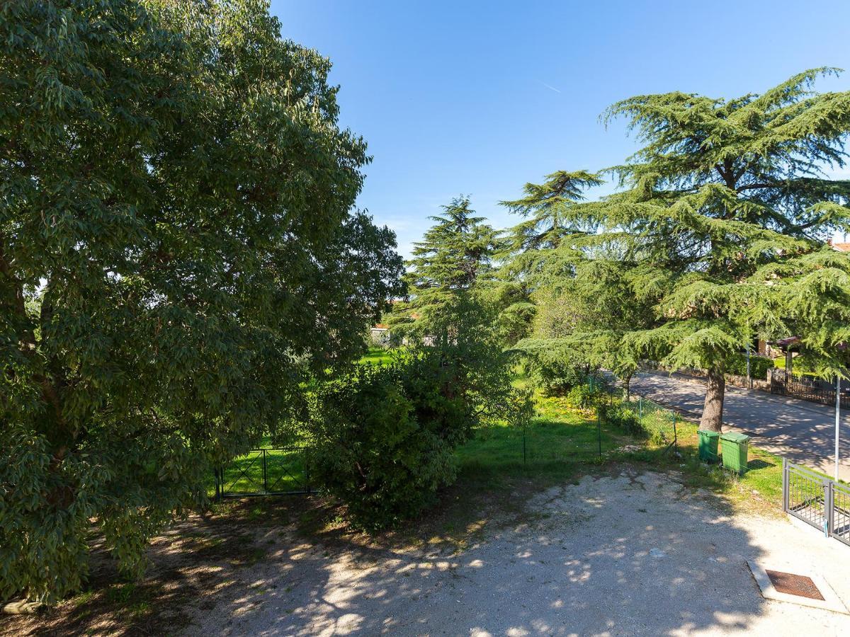 Dream Istria Holiday بوريتش المظهر الخارجي الصورة