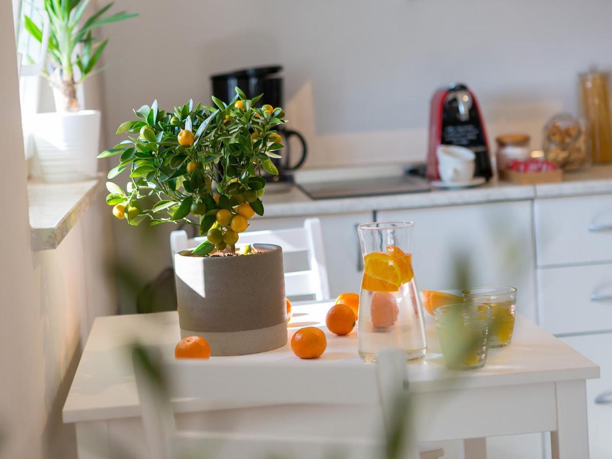 Dream Istria Holiday بوريتش المظهر الخارجي الصورة